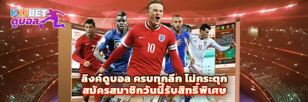 ลิงค์ ดูบอล