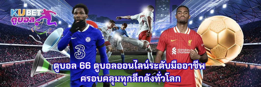 ดูบอล 66